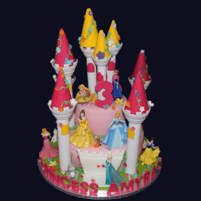 Princess Castle*